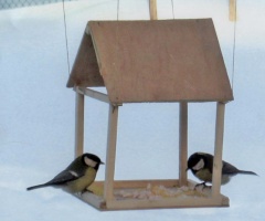Во Фролово проходит акция «Покормите птиц зимой».