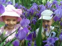 Во Фролово появился цветущий детский сад.