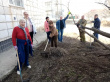 Совет ветеранов городского округа город Фролово организовал проведение субботника на территории своей организации.