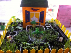 Дошколята выращивают свой «Огород на подоконнике».