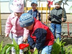 В детском саду №12 «Сказка» проходит весенняя экологическая неделя.